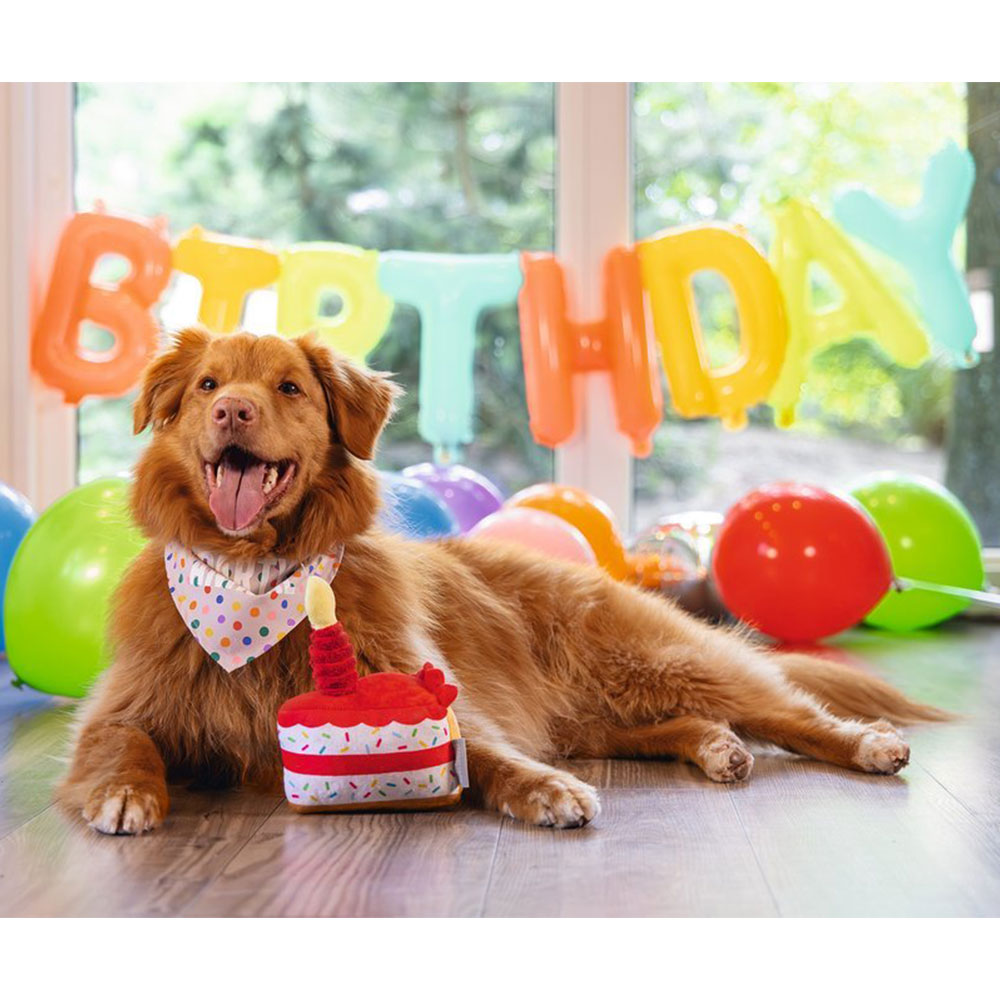 Beezteez Birthday Cake Slice Dog Toy