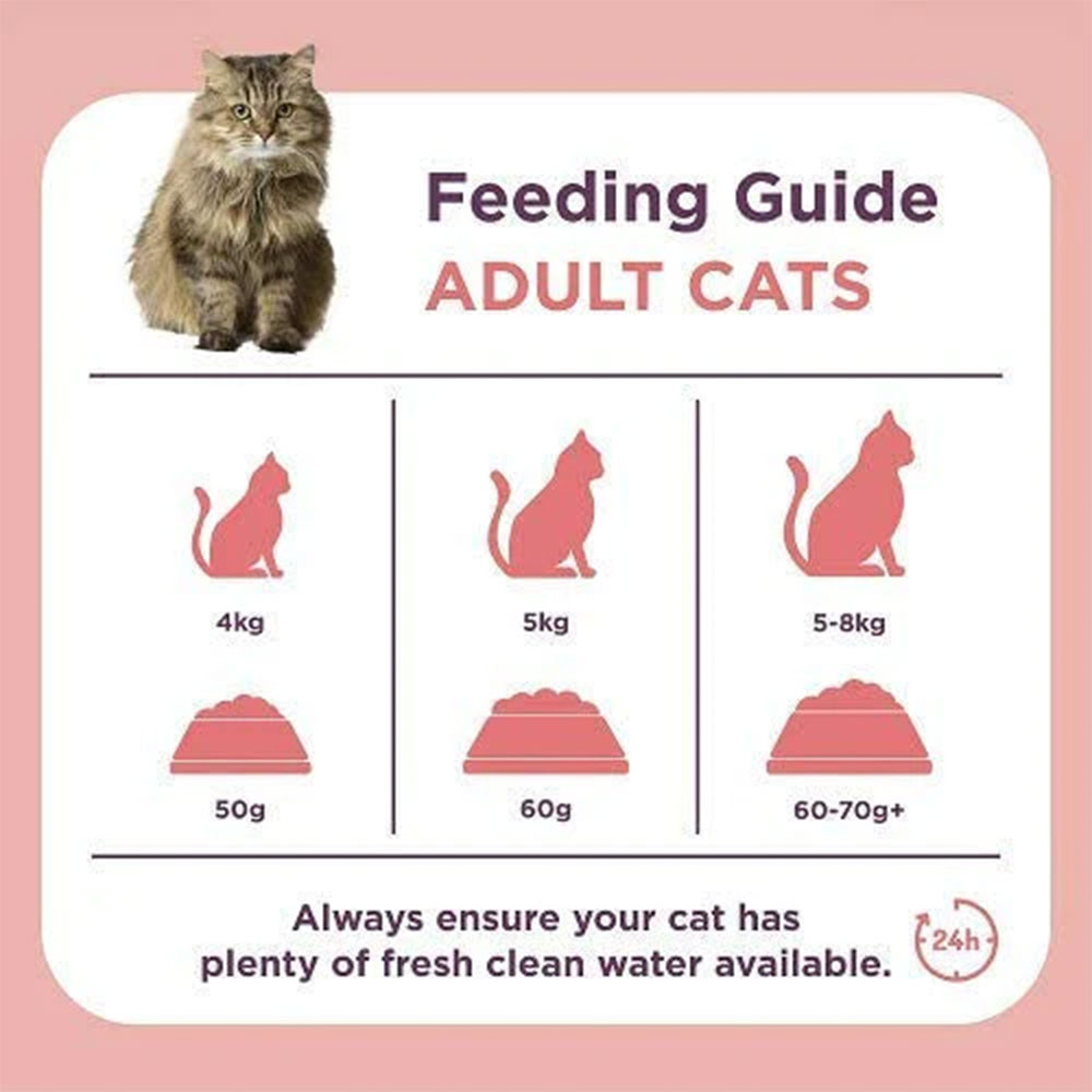 Burgess Adult Cat Food, Salmon 10kg