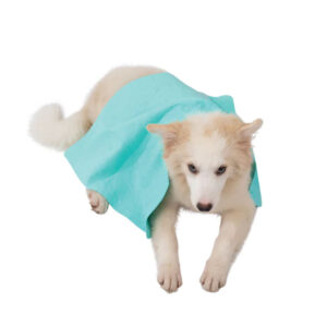 M-PETS Bathtime Quick-Dry Towel, Green