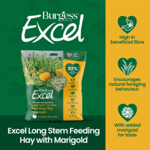 EXCEL Long Stem Feeding Hay with Marigold, 1kg