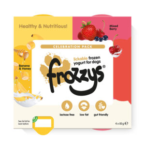 FROZZYS Yoghurt Celebration Pack