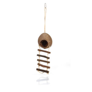 BEEZTEES Coconut Cottage with Ladder Rodent Toy, 30cm