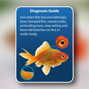 NT LABS Aquarium Anti-Internal Bacteria, 100ml