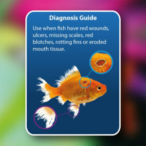 NT LABS Aquarium Anti-Ulcer & Finrot, 100ml