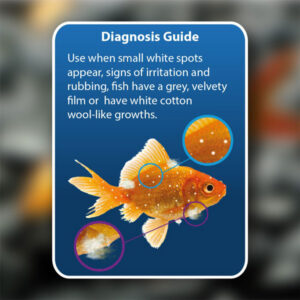 NT LABS Aquarium Anti-White Spot & Fungus, 100ml