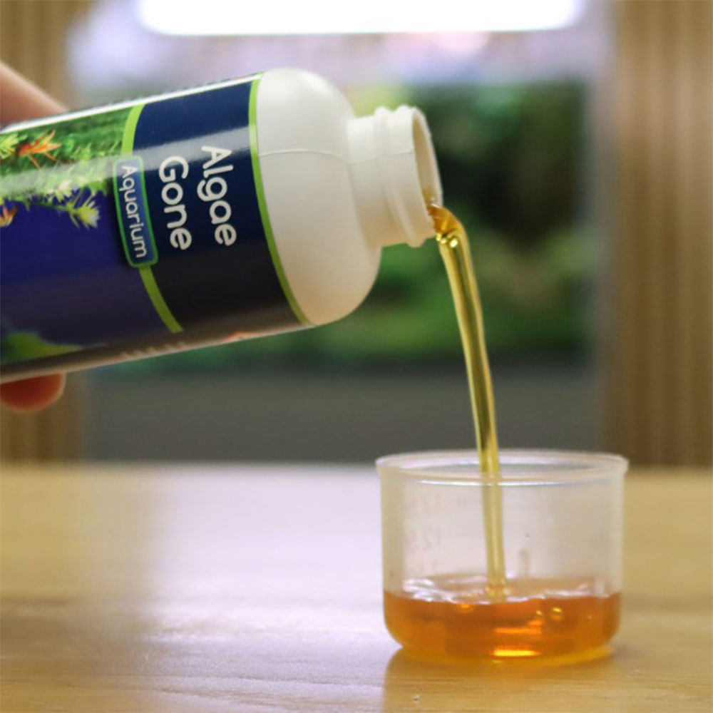Nt Labs Aquarium Algae Gone, 100ml