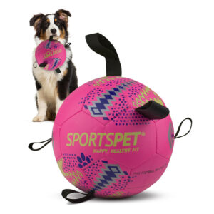 SPORTSPET 7 Tab Football, Large Size 4