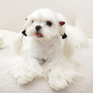 M-PETS Glam Heart Shaped Clips, 4 Pack