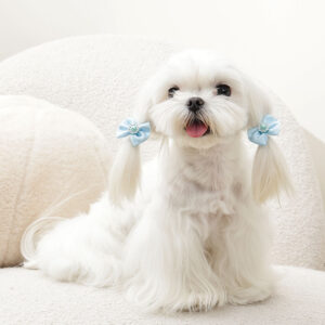M-PETS Glam Rubber Band Bows with Pearl Blue, 2 Pack