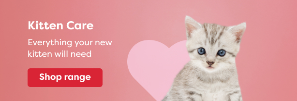 Kitten Care_614x210