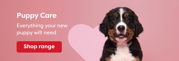 Puppy Care_614x210